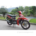 ZF C9 spark 115 110cc cub automatic motorcycle motorbike, semi automatic clutch